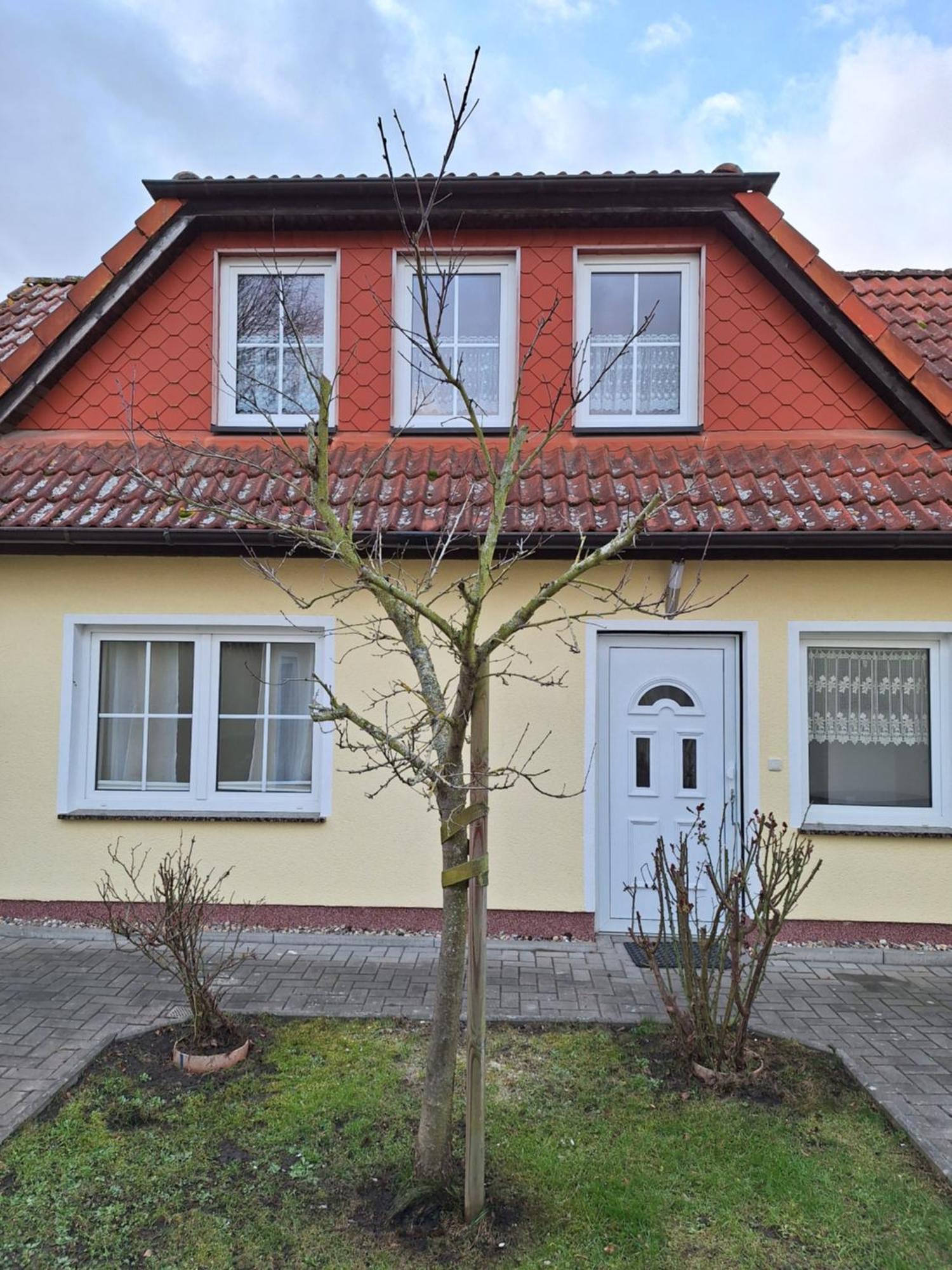 Emma Apartment Greifswald Ngoại thất bức ảnh